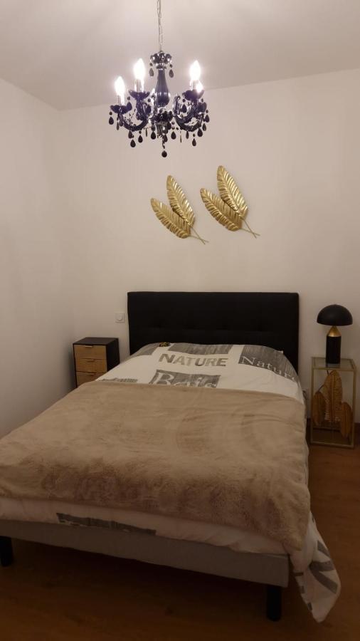 Appartement Cosy Centre Ville โรอาน ภายนอก รูปภาพ