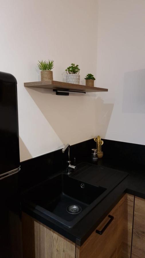 Appartement Cosy Centre Ville โรอาน ภายนอก รูปภาพ